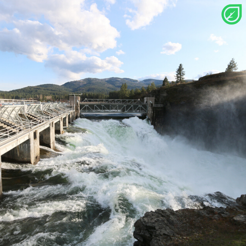 Pest Control, Exterminators and Rodent Control in Post Falls ID